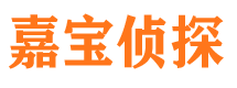 中沙市侦探公司